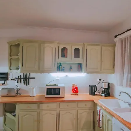 Spacious House With Garden