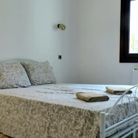 Spacious House With Garden